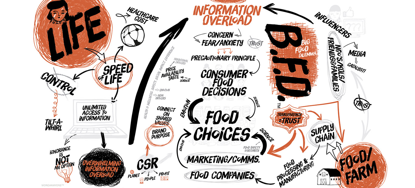 Big Food Dilemma