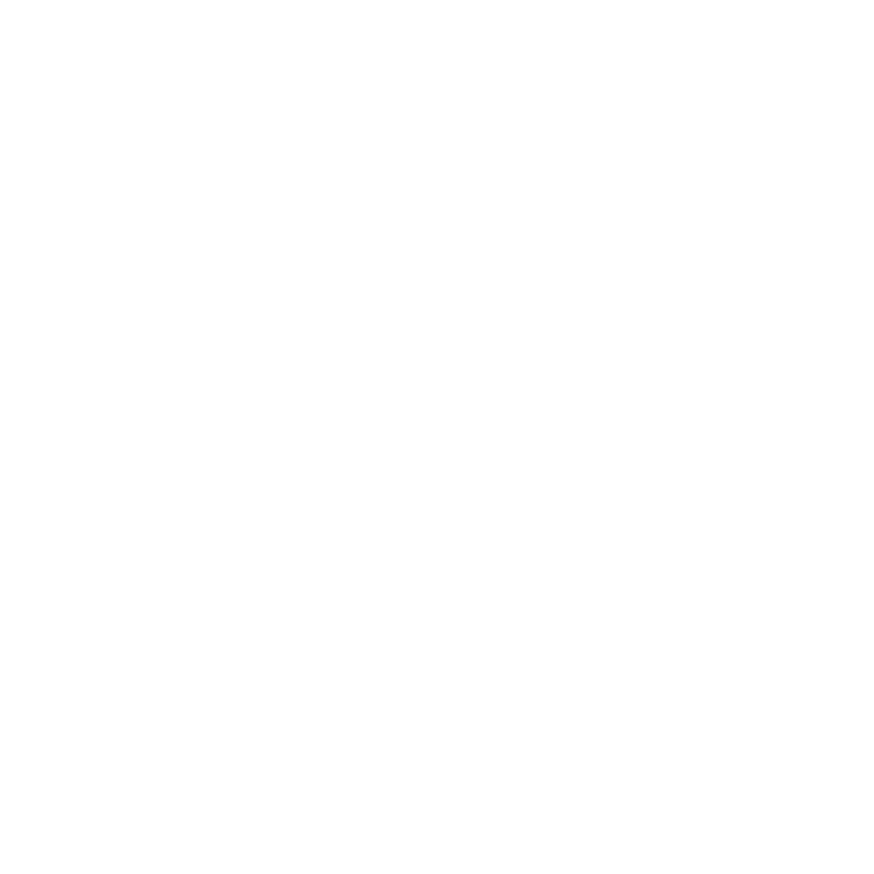 394,000+ impressions via activation experience and vehicle impressions