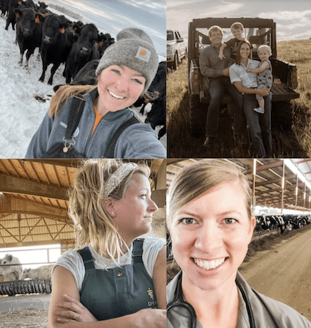 Thumbnails from Merck Animal Health Cattle Influencer Connections