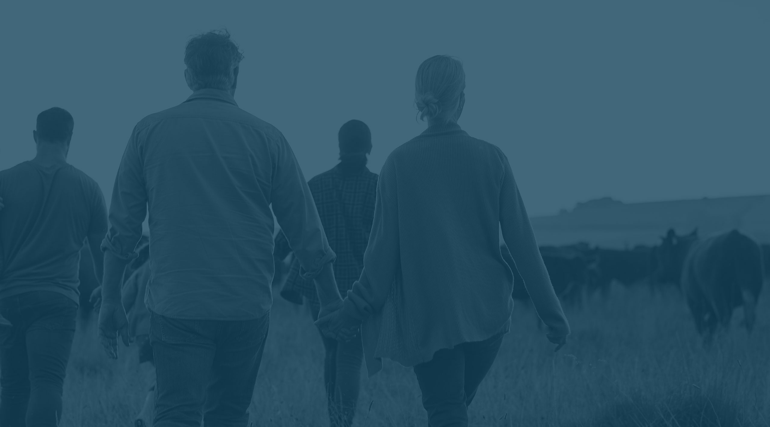 Photo of a family walking in a farm field near cows