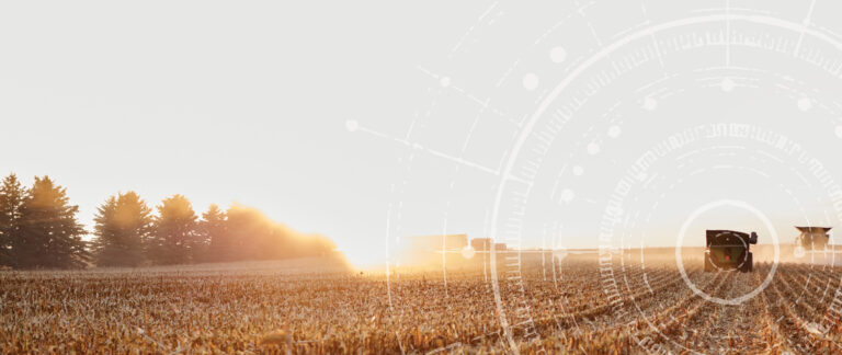 combine in field at harvest at sunrise