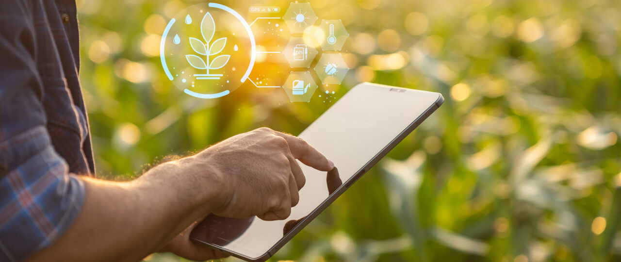 farmer in field with ipad