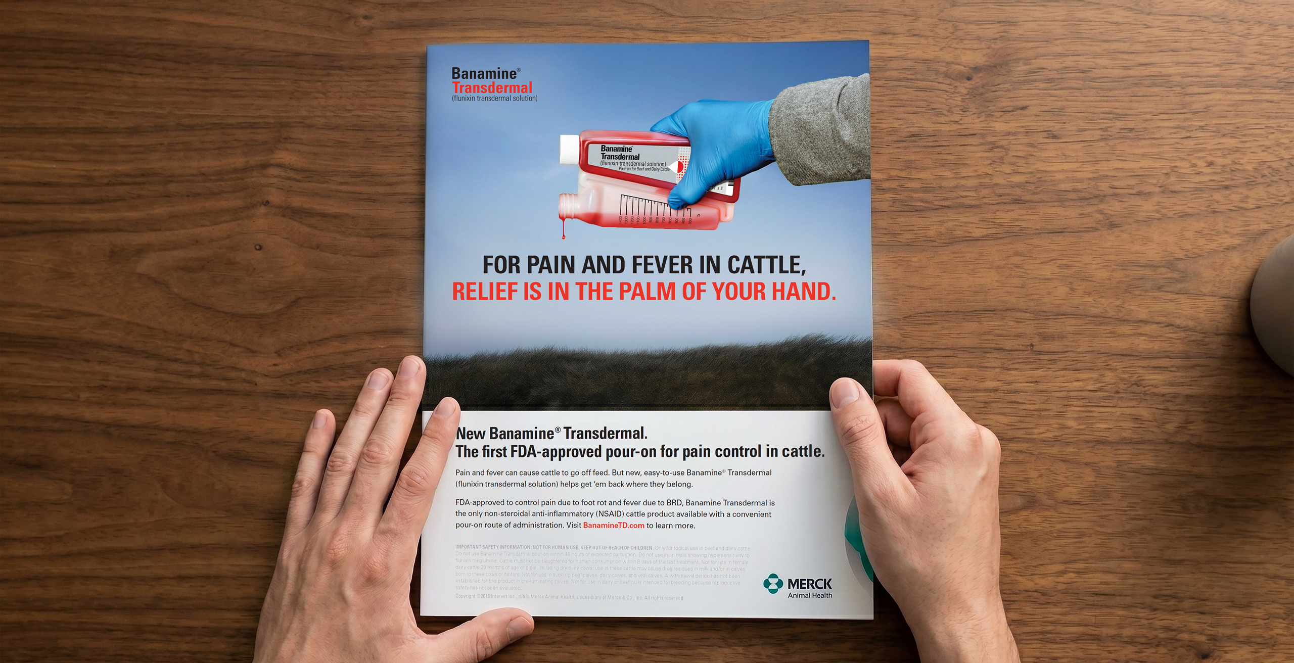 Banamine approach mockup