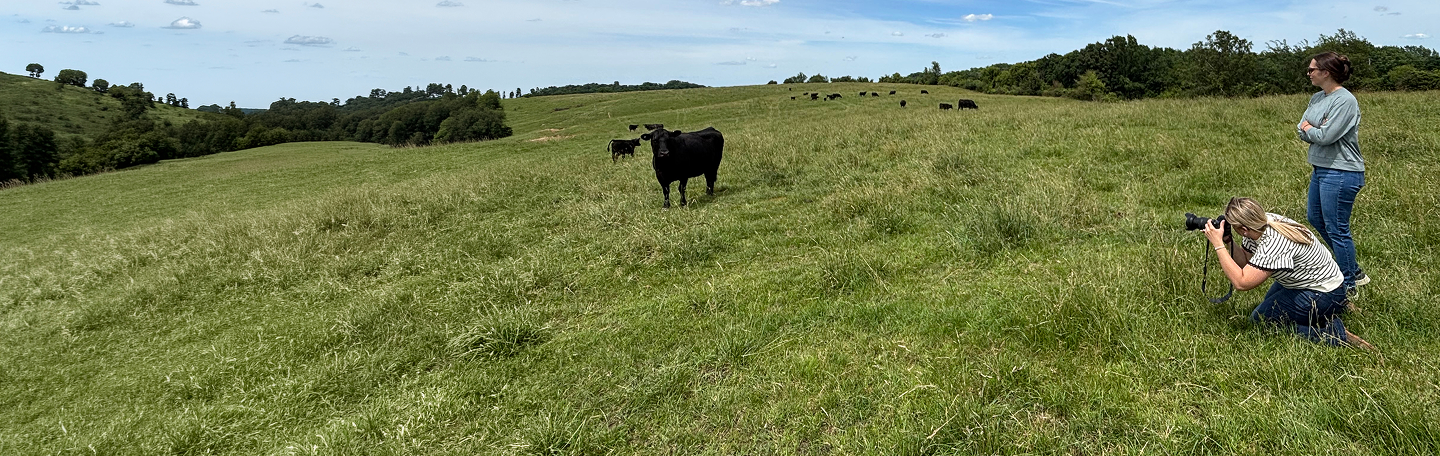 MorganMyers team in cattle pasture