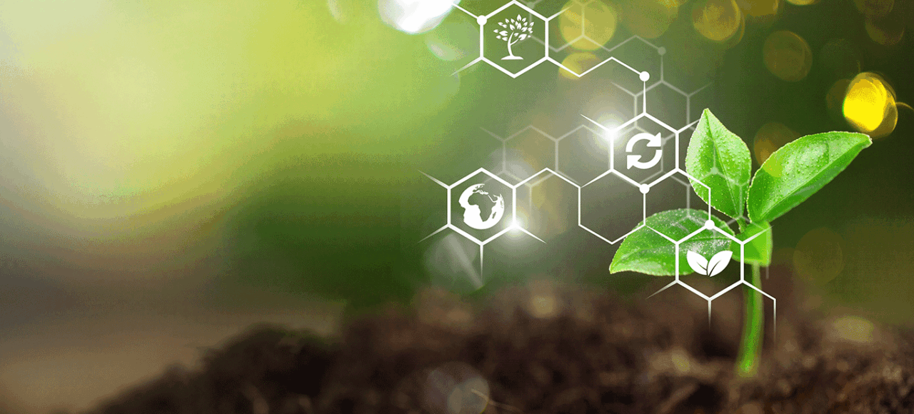 What agritech strategy questions should you ask before launching a product