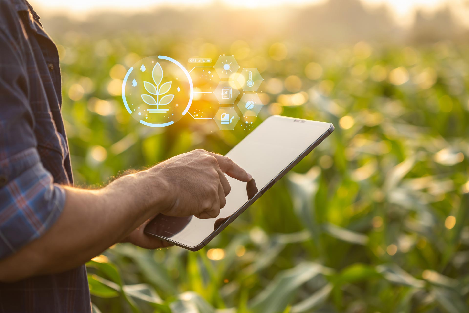 Photo of a farmer in a field holding an iPad