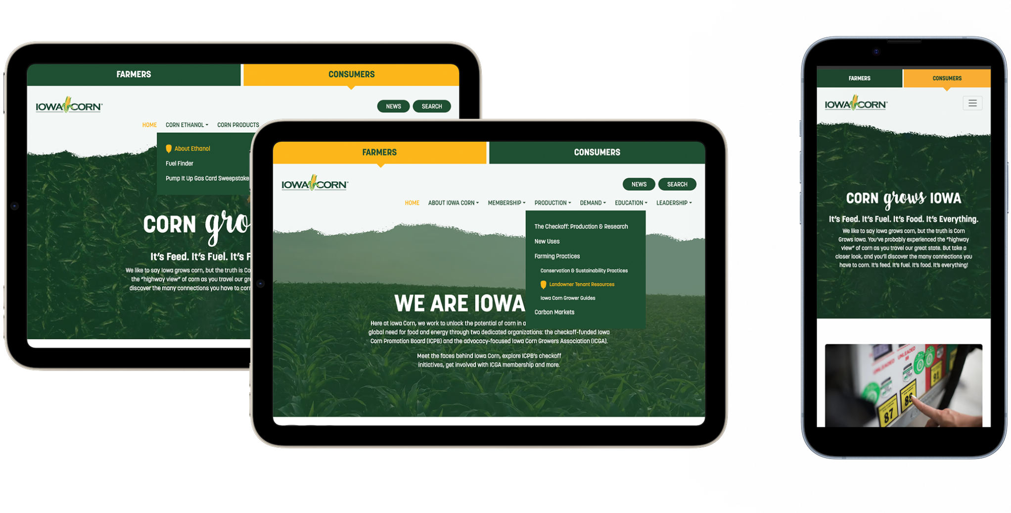 iowa corn website