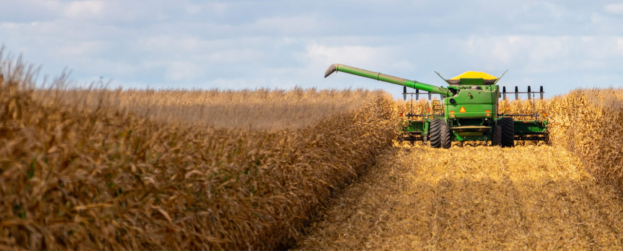 farm field