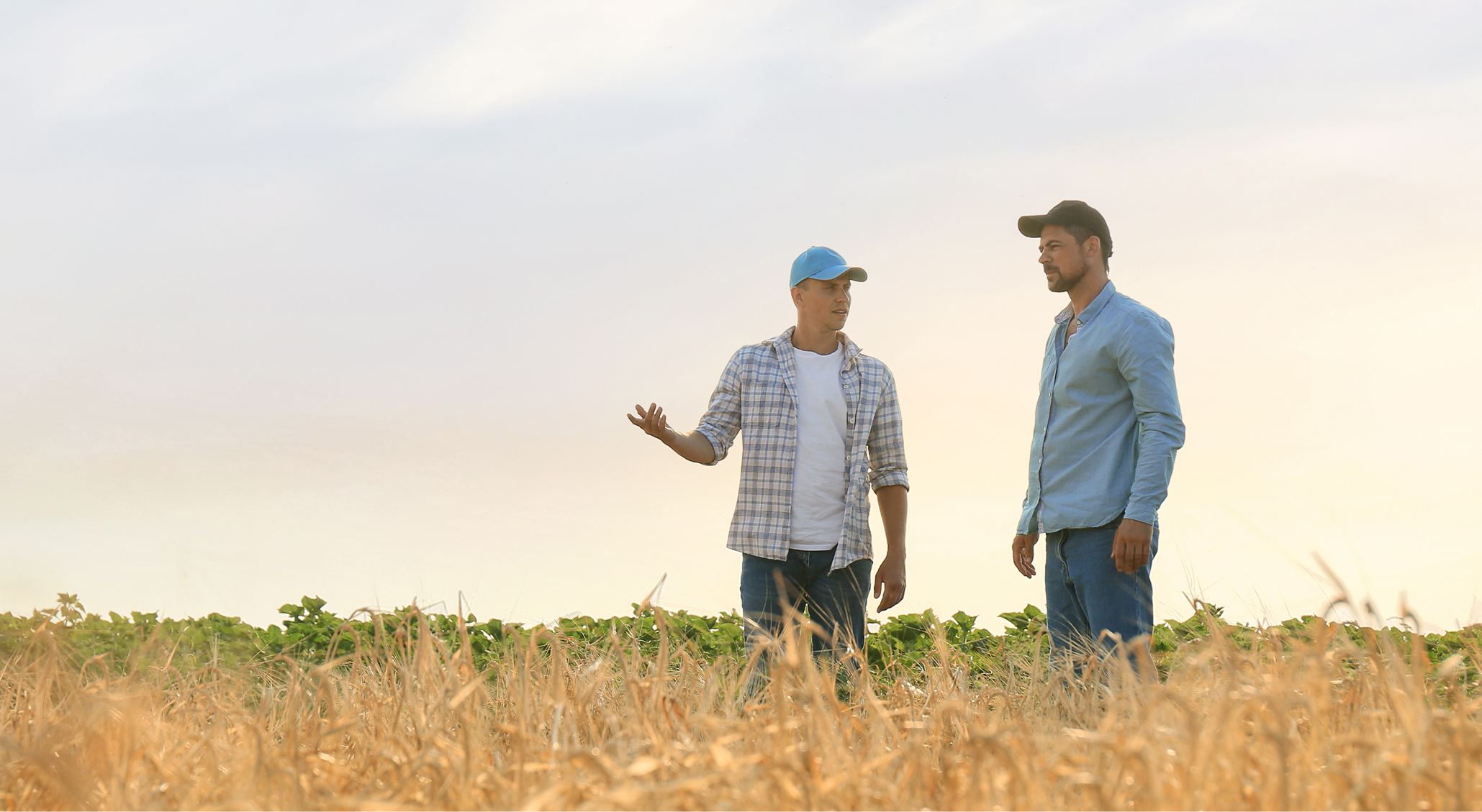 men standing in farm field